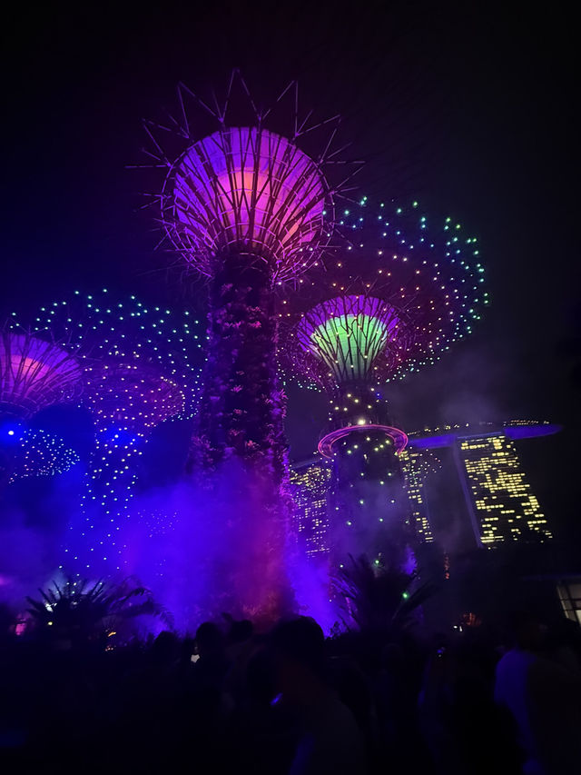 An Unforgettable Night at Supertree Grove 