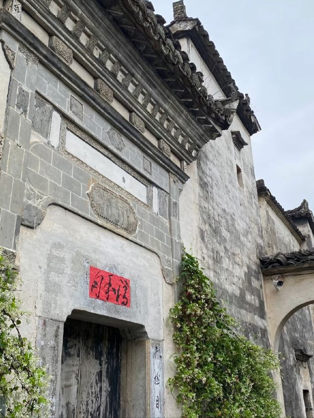 900 Years of Elegance: The Legacy of Hongcun Village