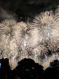 【新潟🇯🇵】日本三大花火を楽しもう🎆