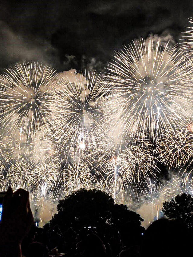 【新潟🇯🇵】日本三大花火を楽しもう🎆