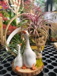 Green Nook & Golden Arches: Far East Flora by Ridout Tea Garden