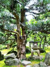 Kenrokuen Garden: A Living Painting in Kanazawa