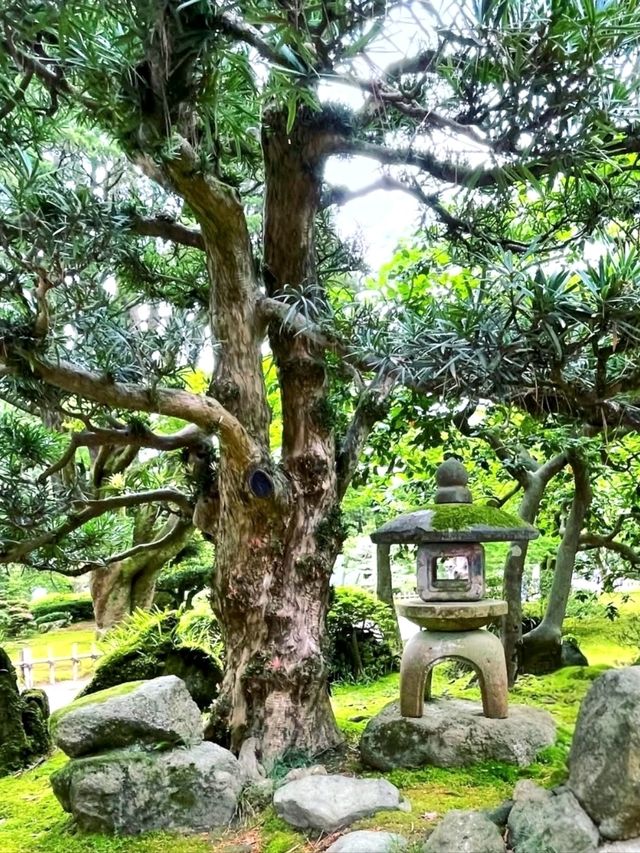Kenrokuen Garden: A Living Painting in Kanazawa
