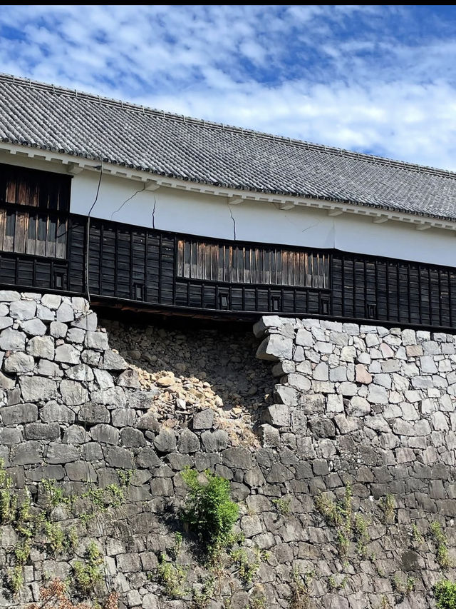 【熊本城】歴史と復興の力強さに心打たれる、熊本のシンボル🏯✨