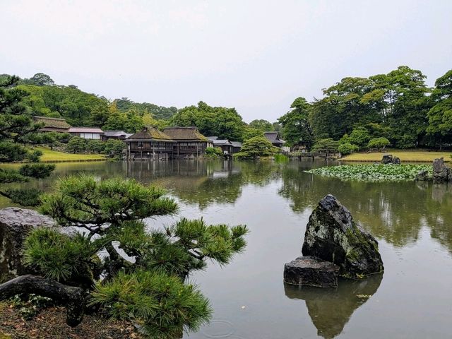 彥根 | 玄宮園，引琵琶湖水而成的日式庭園