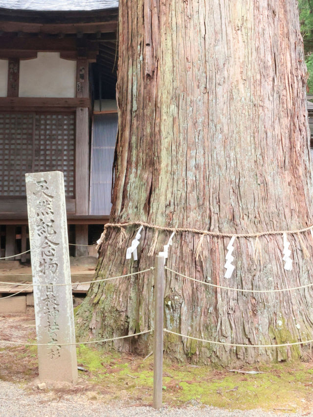 【癒しの観光スポット】岐阜県高山市 日枝神社