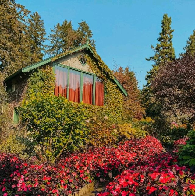 The Butchart Gardens