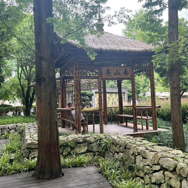 🎋 Chengdu People’s Park 成都人民公园 | A Window into Local Life