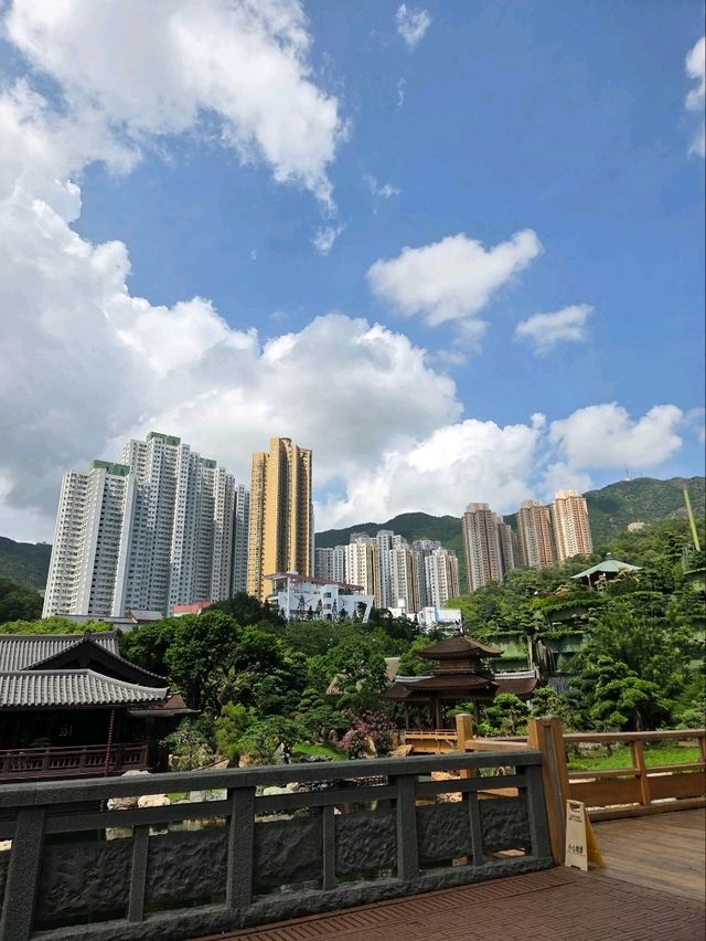 🌸 *“Tang‑Style Lotus Oasis in the City”*