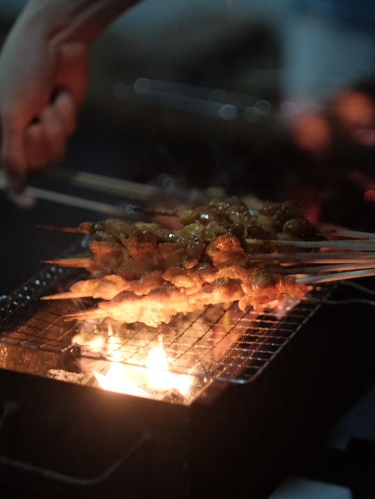 ☀️ Summer BBQ Bash in Beijing Suburbs – Friends, Fire & Freedom