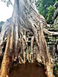 Sunrise Magic at Cambodia’s Ancient Wonder