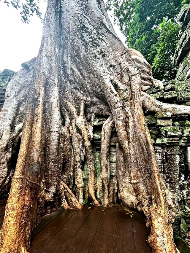 Sunrise Magic at Cambodia’s Ancient Wonder Sunrise Magic at Cambodia’s Ancient Wonder