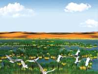 “Sand Lake: The Shimmering Oasis of Desert and Water”