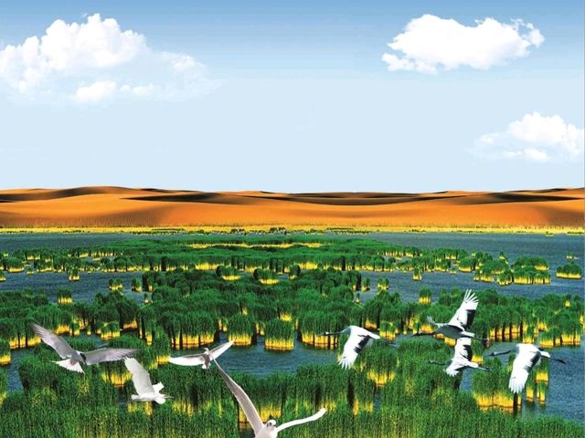 “Sand Lake: The Shimmering Oasis of Desert and Water”