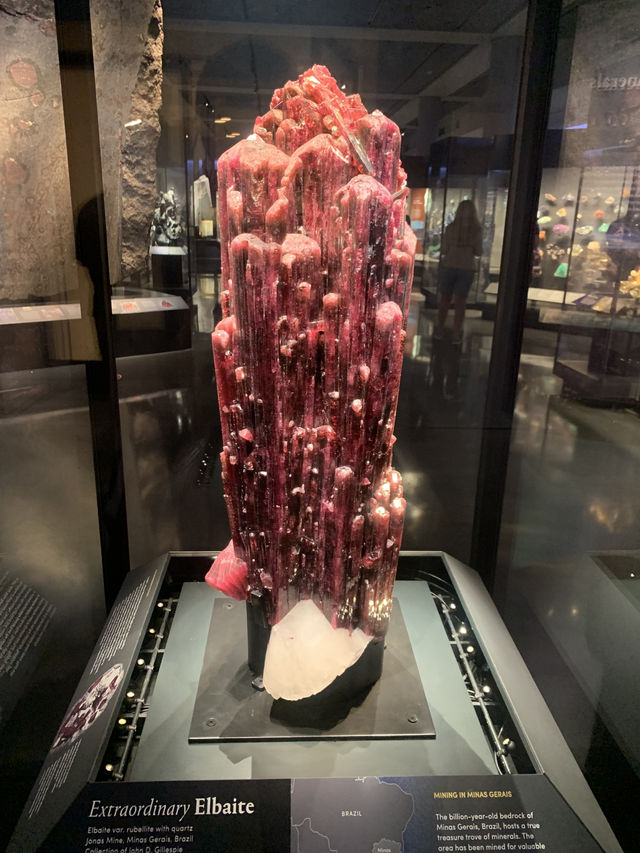 自然歷史博物館