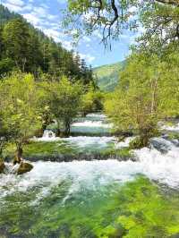 “Emerald Dreamscape of Jiuzhaigou”