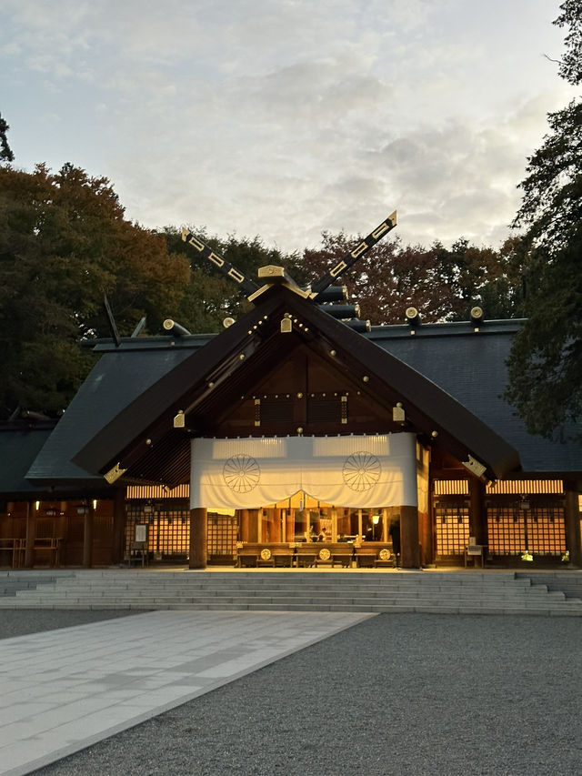 靈驗神籤與清幽木境｜北海道神宮巡禮