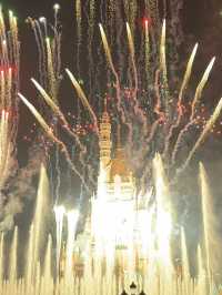 Disneyland in New Year 2025