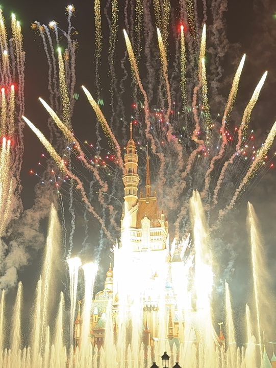 Disneyland in New Year 2025