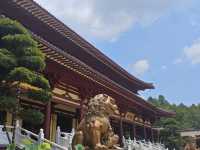 🙏 The Grand Donglin Buddha: A Place for Sincere Prayers ✨