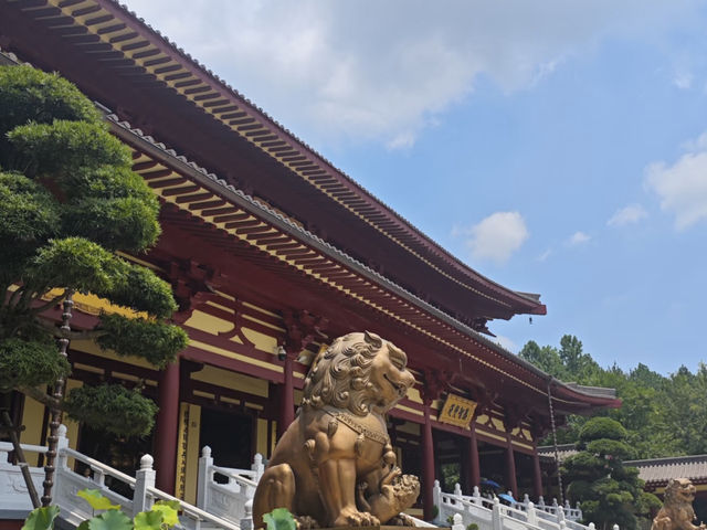 🙏 The Grand Donglin Buddha: A Place for Sincere Prayers ✨