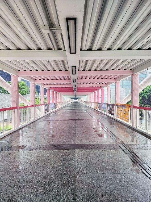 大雨後的金鐘和村上隆的太陽花