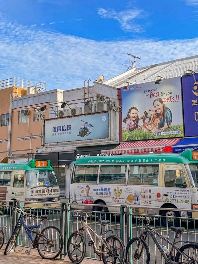 🌊 Sai Kung – The Adventure Hub of Hong Kong