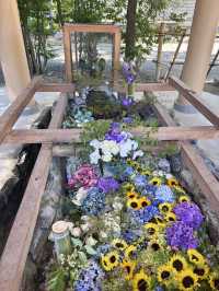 【大阪】 大鳥大社