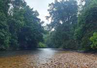 Taman Negara – Hanging Out with a 130-Million-Year-Old Legend