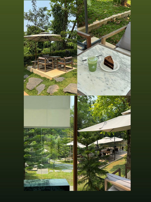 คาเฟ่เปิดใหม่  Taan Forest ใกล้น้ำตกขุนกรณ์