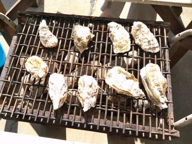佐賀満喫　レンタカーで巡るグルメと観光の1泊2日