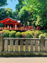 A Burst of Color at Nezu Shrine Azalea Garden