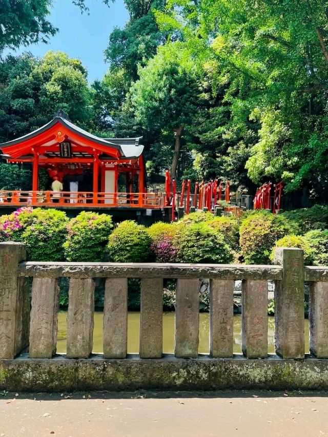 A Burst of Color at Nezu Shrine Azalea Garden