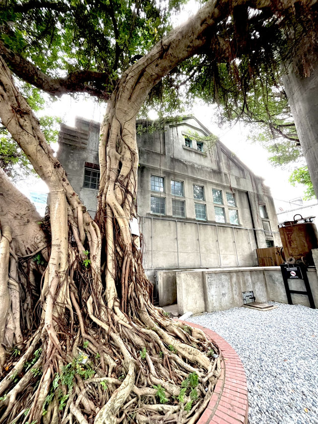 【華山1914文化創意產業園區】元酒造工場の建物 【華山1914文化創意產業園區】元酒造工場の建物