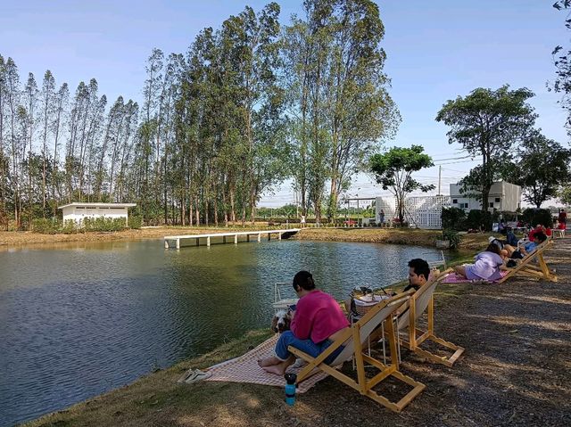 ร้าน laloli cafe บรรยากาศเหมือนเขาใหญ่