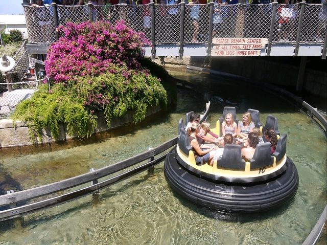 📍 아이들과 가기좋은 샌디에이고 씨월드 (SeaWorld San Diego)