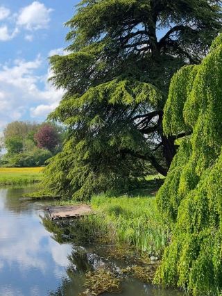 A serene retreat in nature – Beervelde Castle Park (Lochristi, Belgium)
