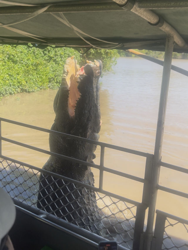 Darwin 4 Days Itinerary