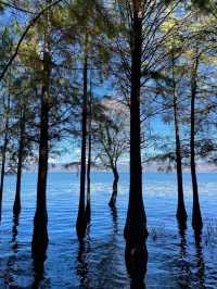 Beyond the Horizon: The Road to Erhai