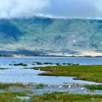 Ngorongoro Crater – A Surreal Safari Paradise