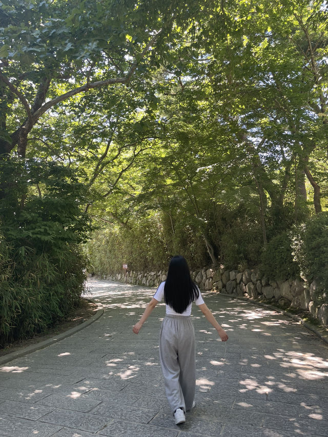【慶州】  紫霞門 仏国寺
