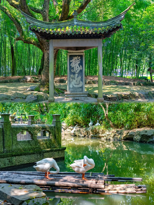 【紹興｜江南水巷寫給歷史的長信】