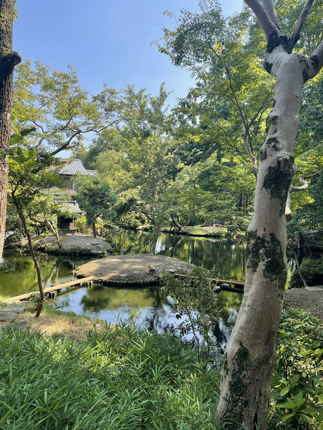 【東京】SNSで話題沸騰中！人気の避暑地🌱