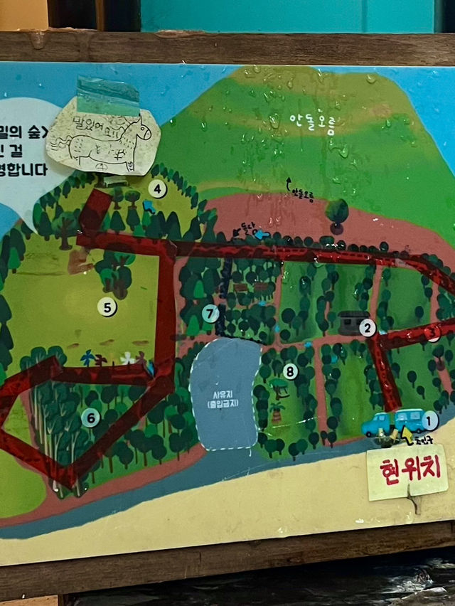 📍 제주에서 하루, 감성 충전 여행 코스 ✨