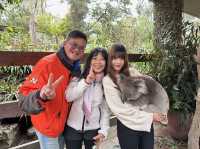 澳洲阿得雷德、墨爾本+新加坡親子遊