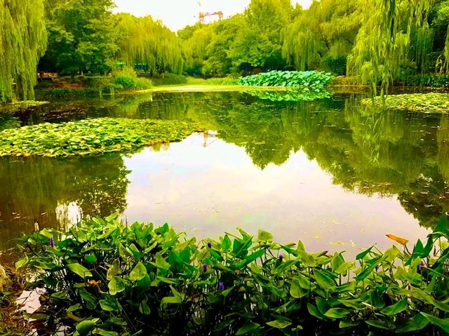 Luobinwang Park: A Cultural Tribute in Yiwu