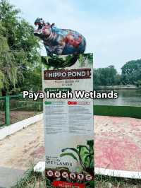 Paya Indah Discovery Wetlands: A Natural Escape with Wildlife Wonders