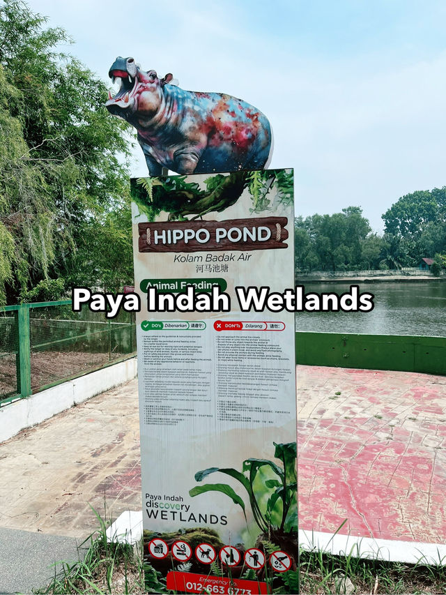Paya Indah Discovery Wetlands: A Natural Escape with Wildlife Wonders