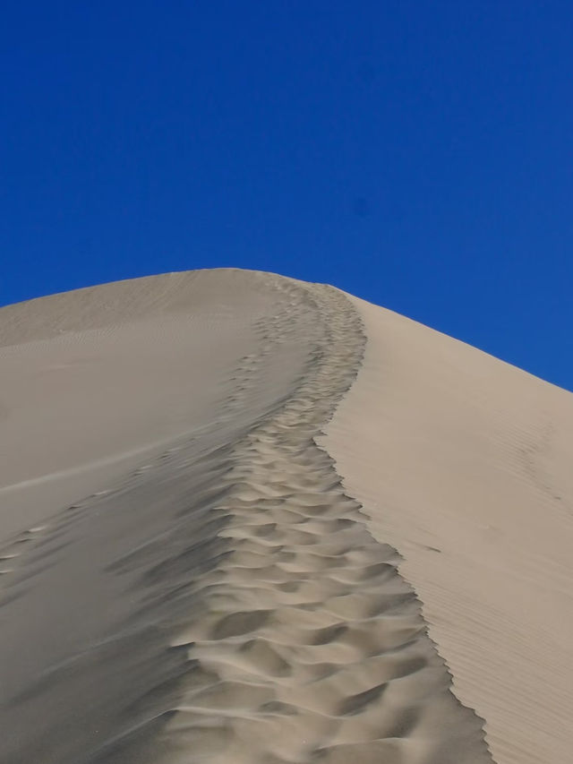 Giant Sand Dunes – Nature’s Majestic Playground in New Zealand Giant Sand Dunes – Nature’s Majestic Playground in New Zealand