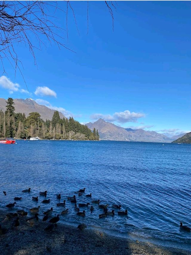 Lake Wakatipu (Queenstown) 🚤